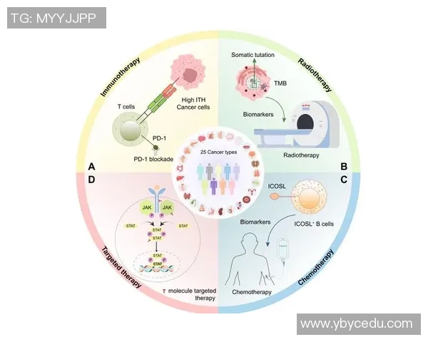 007与载体连接的精彩对决探秘与技术解析