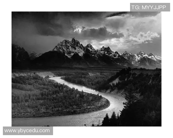 亚当斯的崛起与影响力探析：从个人成就到全球视野的深度解读