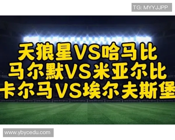 天狼星与哈马比对决分析及推荐策略分享