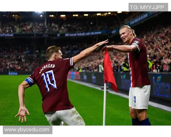 德国与挪威足球对决全场数据分析及比赛亮点回顾