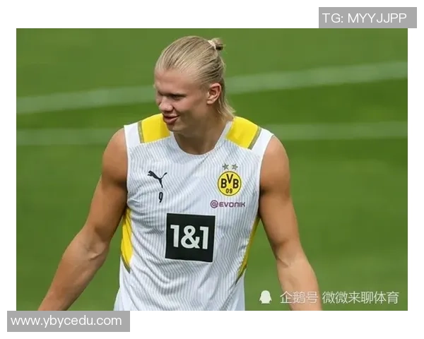 格雷茨卡的崛起与德甲球队的未来发展潜力分析 格雷茨卡的崛起与德甲球队的未来发展潜力分析