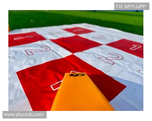 黄丽独家揭秘飞盘技巧与心得分享助你轻松掌握飞盘运动的乐趣与魅力MBA