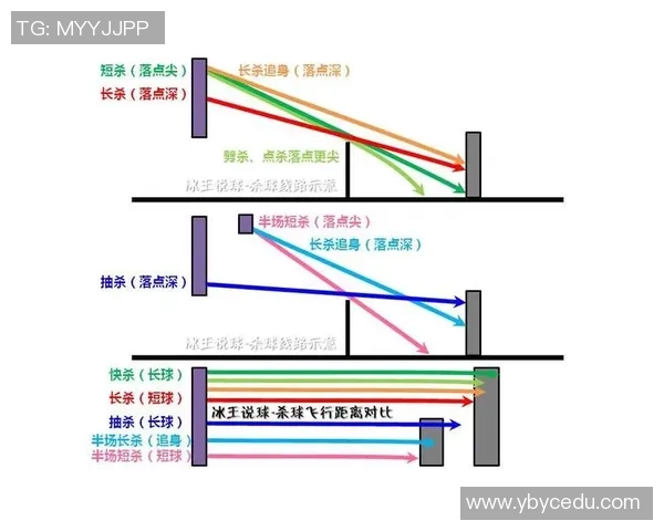 南京羽毛球队的节奏分析与未来发展方向探讨